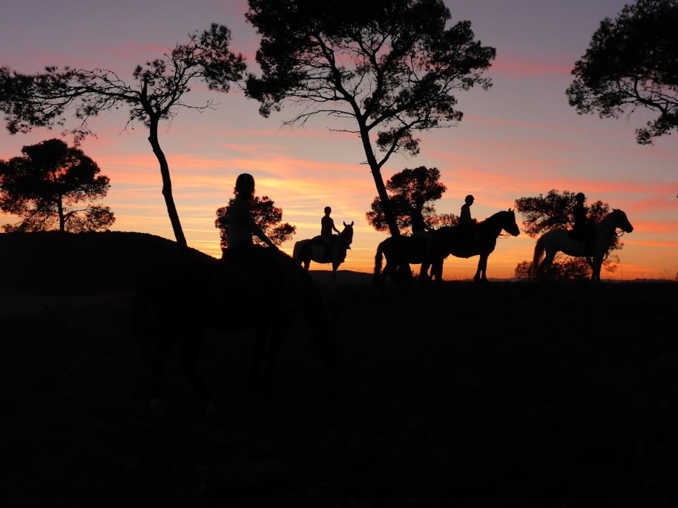 Cavaliers au coucher du soleil