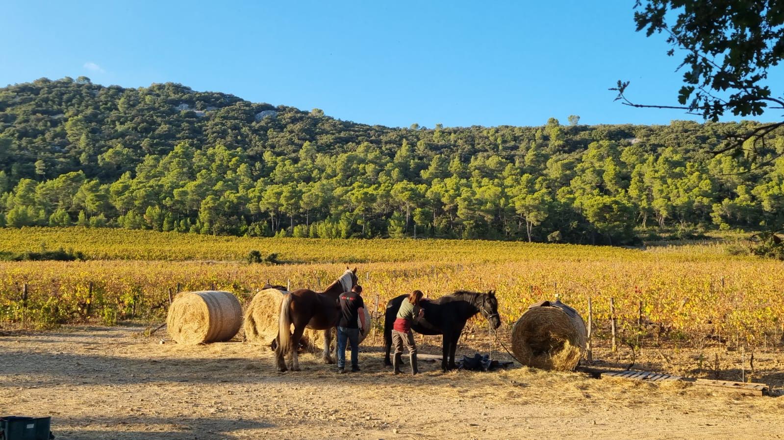 Le Domaine de La Roque à Fontanès, au départ des balades