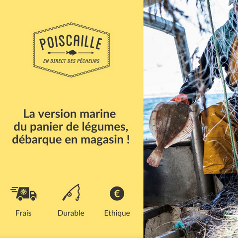Poiscaille, poisson frais en direct des pêcheurs